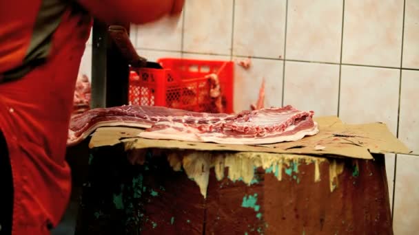 Butcher cut up raw meat — Stock Video