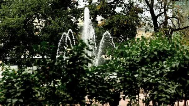 Fontaine dans la ville — Video