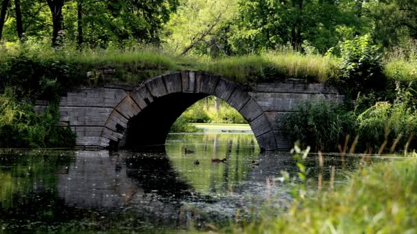 Oude brug — Stockvideo