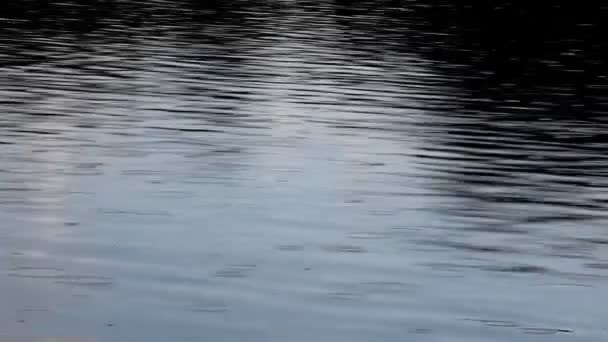 Lluvia sobre el agua — Vídeos de Stock