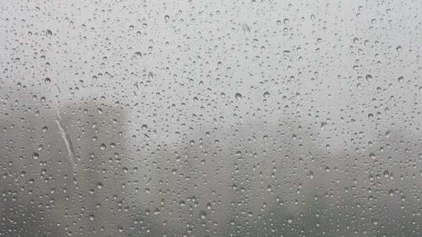 Βροχή στο παράθυρο — Αρχείο Βίντεο
