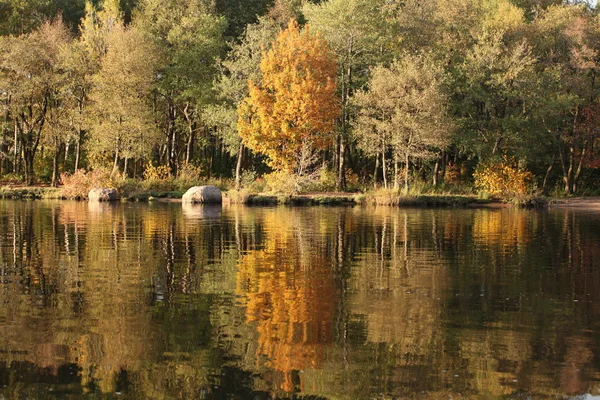 Höstens reflektioner — Stockfoto