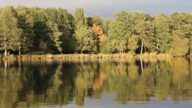 Fall forest reflections