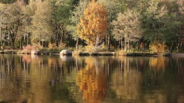 sonbahar yansımalar