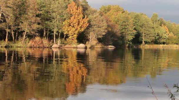 Otoño — Vídeos de Stock