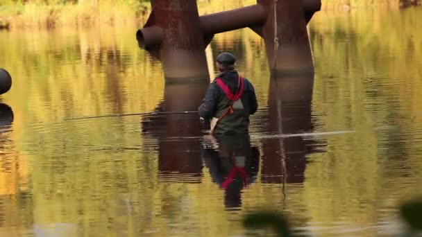 Рыбак в золотой воде — стоковое видео
