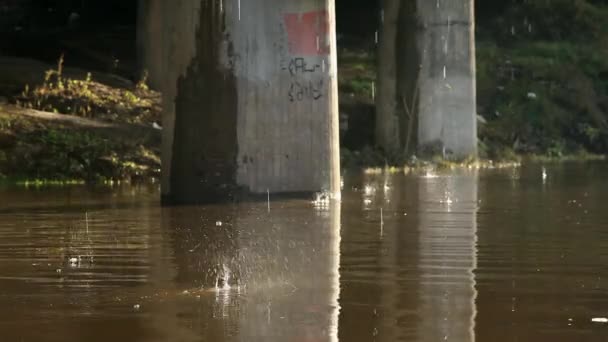 雨滴 — 图库视频影像