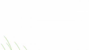 Kırmızı çiçekler animasyon