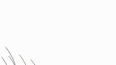 çizim çiçek animasyon