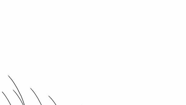 Fleurs animation noir et blanc 