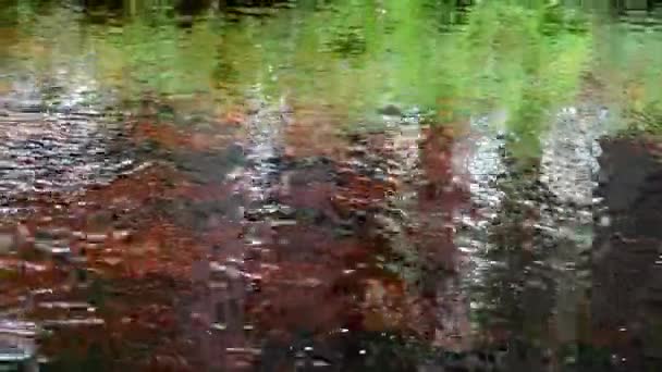 Wody powierzchniowe — Wideo stockowe