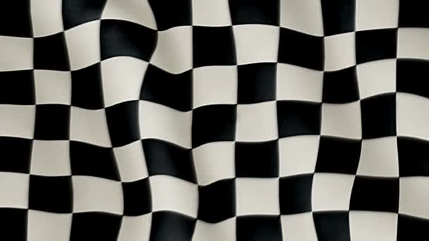 Checkered Flag — Stock Video