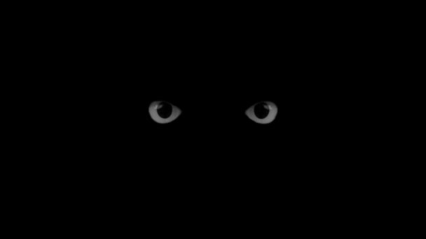 Les yeux noirs clignotent 