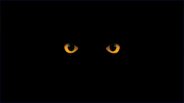 Yeux jaunes clignotent 