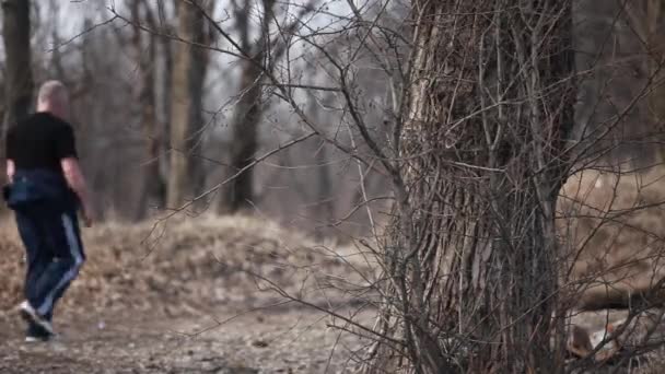 Spacerując w wiosennym lesie — Wideo stockowe