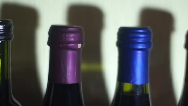 Bottiglie di vino — Video Stock