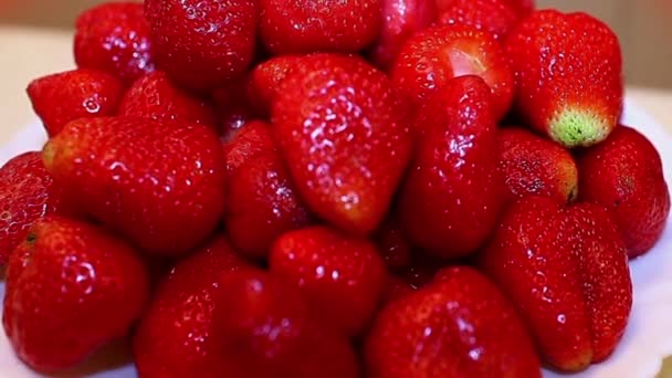 Fresas frescas maduras — Vídeos de Stock