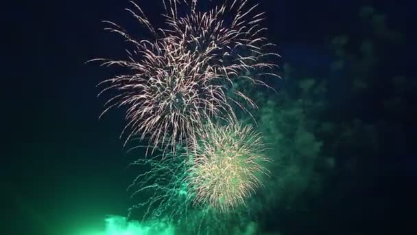 Fogos de artifício — Vídeo de Stock