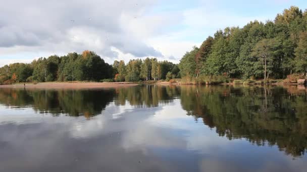 Herfst landschap — Stockvideo