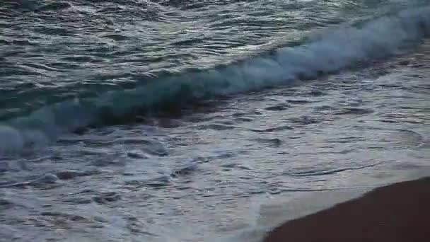 Морской серфинг — стоковое видео