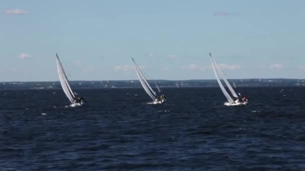 Wyścigu żeglarskich — Wideo stockowe