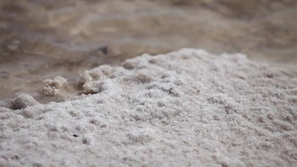 Мертві морські кристали солі — стокове відео