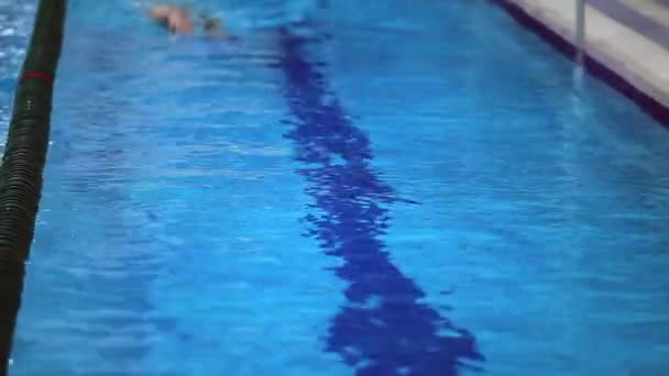 Swimmer swims — Stock Video