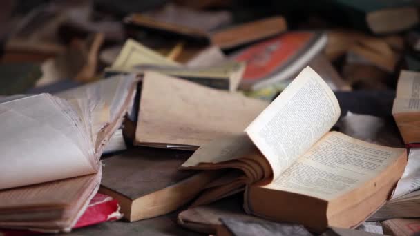 Books on the table — Stock Video