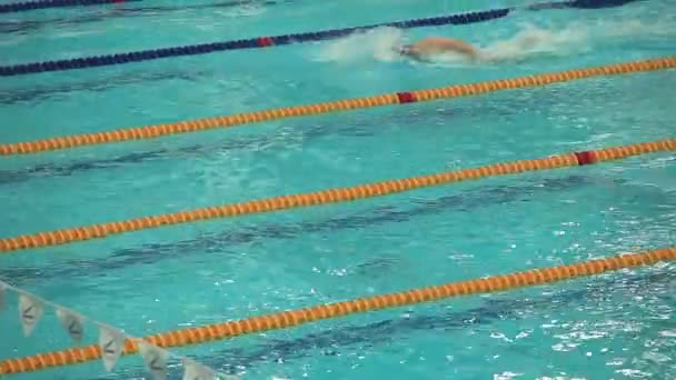 Leistungsschwimmen starten — Stockvideo