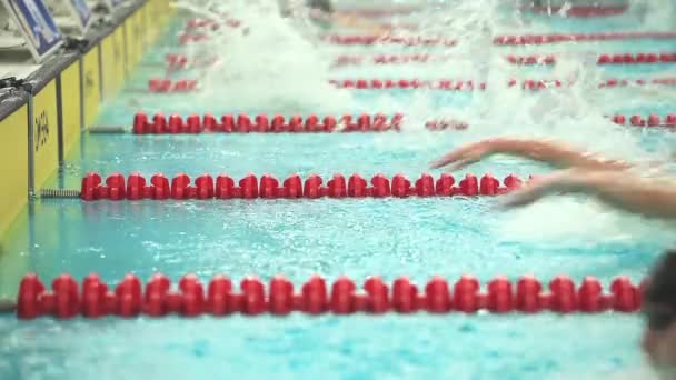Marcador de pista de natação — Vídeo de Stock