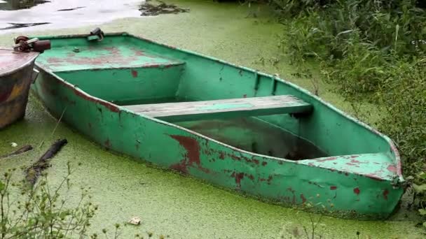 Лодка, полная воды — стоковое видео