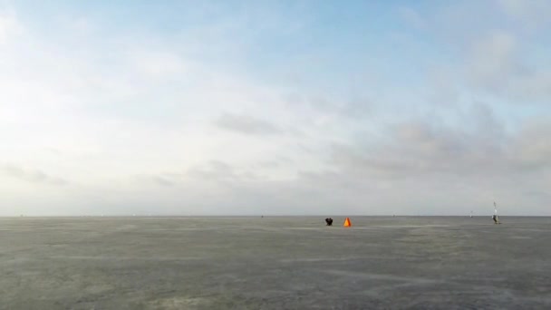 Corse di ghiaccio windsurf come falene — Video Stock
