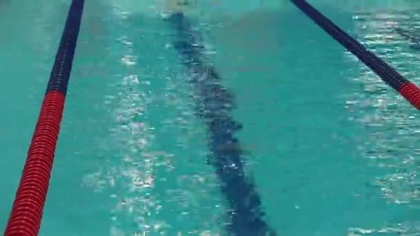 Nuoto sportivo da un freestyle — Video Stock