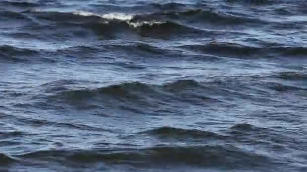粗糙的水域 — 图库视频影像