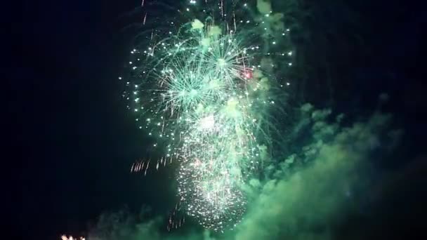 Fogos de artifício sparkler — Vídeo de Stock