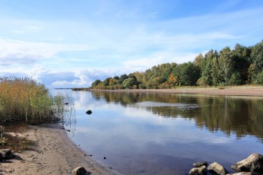 doğal sonbahar manzarası