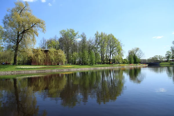 Paysage printanier panoramique — Photo