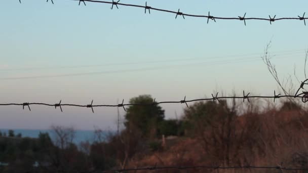 Puesta de sol a través de una cerca de alambre de púas — Vídeo de stock