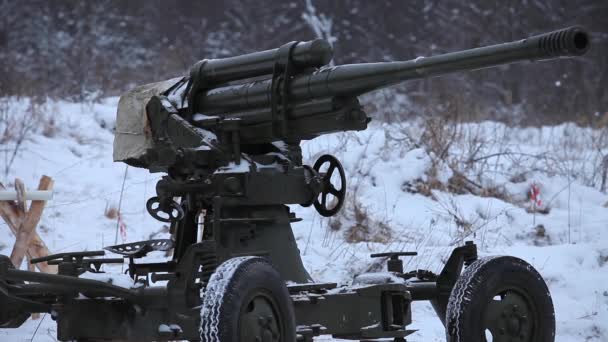 Soldater nära den luftvärnskanoner gun — Stockvideo