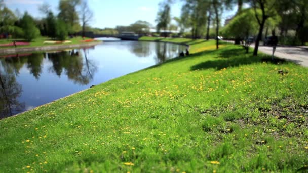 Lawn by the river Film Tilt — Stock Video