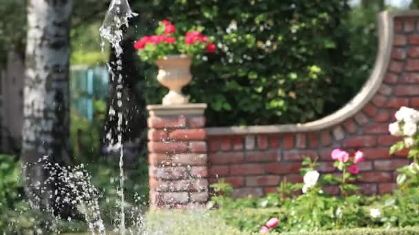 Fontaine dans la roseraie — Video