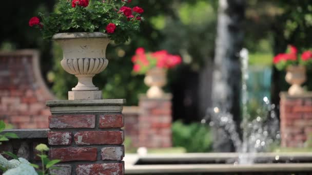 Fuente en el jardín de rosas — Vídeos de Stock