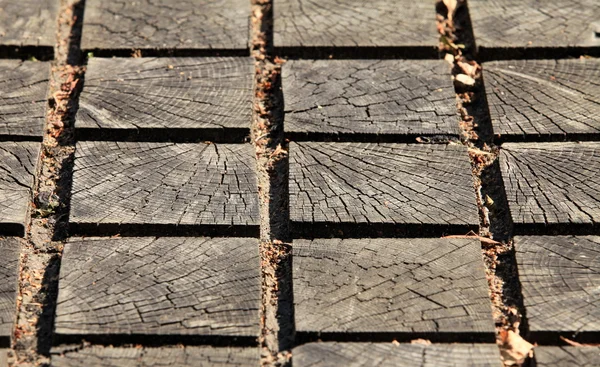 Dřevěný chodník — Stock fotografie
