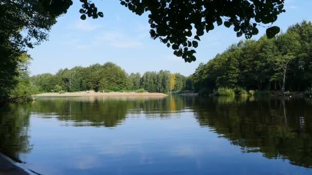 Hermoso Paisaje Fluvial Verano Cielo Azul Bosque Reflejado Superficie Del — Vídeos de Stock