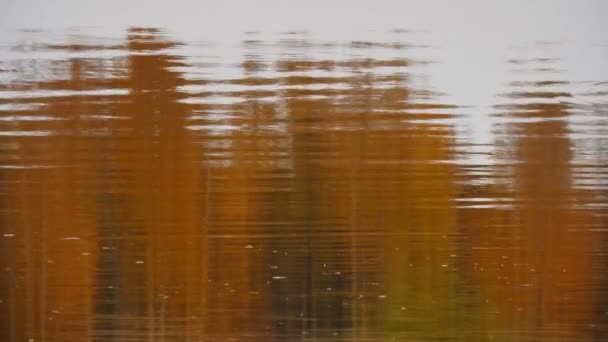 Najaar Abstracte Achtergrond Reflectie Rivierwater — Stockvideo