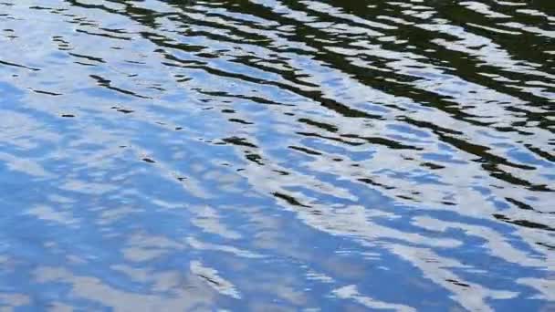 Голубая Вода Оттенками Абстрактного Фона — стоковое видео