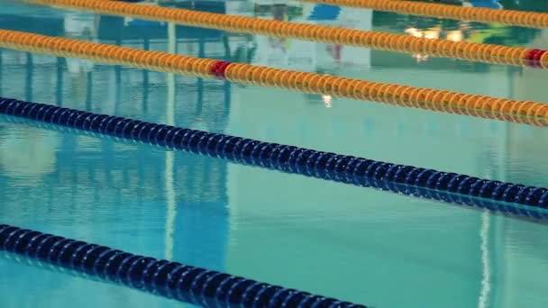 Competencia deportiva nadando en la piscina — Vídeos de Stock