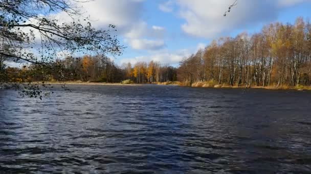 Vloed Hoog Water Rivier Herfst Landschap — Stockvideo
