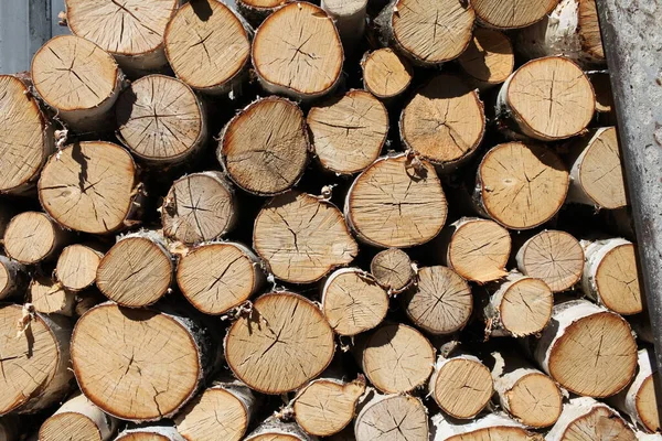 Woodpile Dry Cracked Birch Firewood — Stock Photo, Image