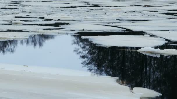 Великі Білі Крижані Потоки Пливуть Поверхні Річки Зимовий Пейзаж — стокове відео